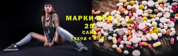 ECSTASY Алзамай