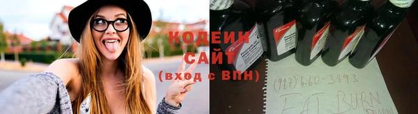 PSILOCYBIN Алексеевка