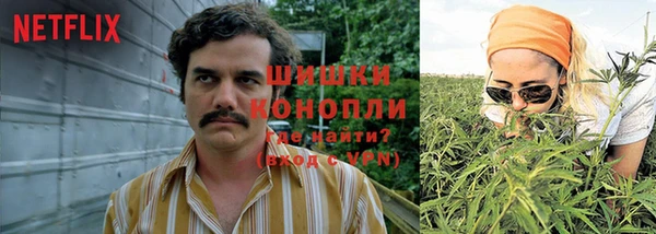 PSILOCYBIN Алексеевка